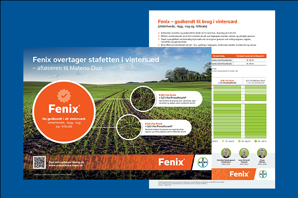 Fenix onepager